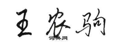 駱恆光王農駒行書個性簽名怎么寫