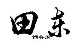 胡問遂田東行書個性簽名怎么寫