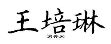 丁謙王培琳楷書個性簽名怎么寫