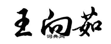 胡問遂王向茹行書個性簽名怎么寫