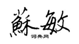 王正良蘇敏行書個性簽名怎么寫