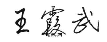 駱恆光王霞武行書個性簽名怎么寫