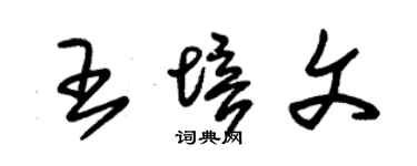 朱錫榮王培文草書個性簽名怎么寫