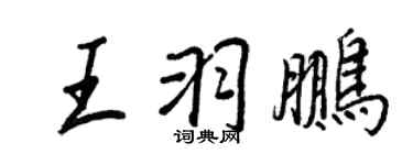 王正良王羽鵬行書個性簽名怎么寫