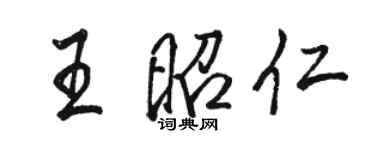駱恆光王昭仁行書個性簽名怎么寫