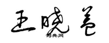 曾慶福王曉益草書個性簽名怎么寫