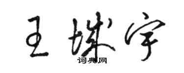 駱恆光王城宇草書個性簽名怎么寫