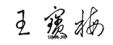 駱恆光王寶梅草書個性簽名怎么寫