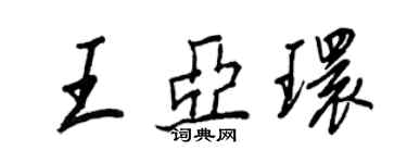 王正良王亞環行書個性簽名怎么寫