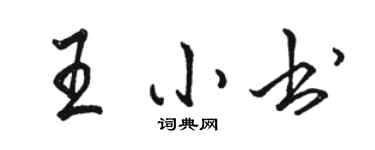 駱恆光王小書行書個性簽名怎么寫