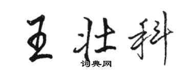 駱恆光王壯科行書個性簽名怎么寫
