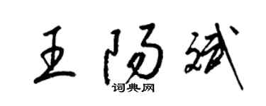 梁錦英王陽斌草書個性簽名怎么寫