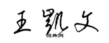 梁錦英王凱文草書個性簽名怎么寫