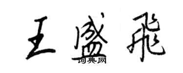 王正良王盛飛行書個性簽名怎么寫