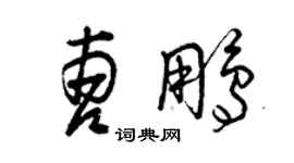 曾慶福曹鵬草書個性簽名怎么寫