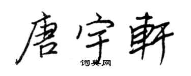 王正良唐宇軒行書個性簽名怎么寫