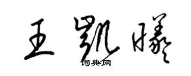 梁錦英王凱曦草書個性簽名怎么寫