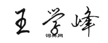 駱恆光王學峰行書個性簽名怎么寫