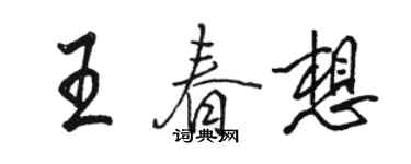 駱恆光王春想行書個性簽名怎么寫