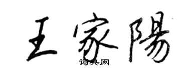 王正良王家陽行書個性簽名怎么寫