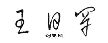 駱恆光王日罕草書個性簽名怎么寫