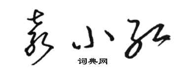 駱恆光袁小紅草書個性簽名怎么寫