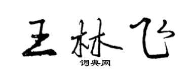 曾慶福王林飛行書個性簽名怎么寫