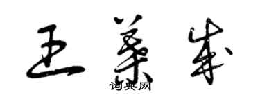 曾慶福王葉成草書個性簽名怎么寫