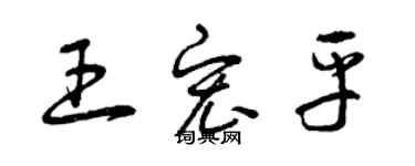 曾慶福王宏平草書個性簽名怎么寫