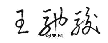 駱恆光王馳駿草書個性簽名怎么寫