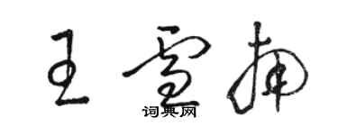 駱恆光王雪南草書個性簽名怎么寫