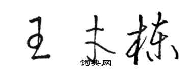 駱恆光王才棟草書個性簽名怎么寫