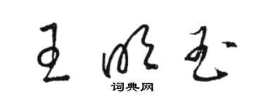 駱恆光王明玉草書個性簽名怎么寫