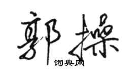 駱恆光郭操行書個性簽名怎么寫