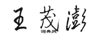 駱恆光王茂澎行書個性簽名怎么寫