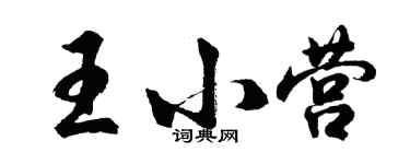 胡問遂王小營行書個性簽名怎么寫