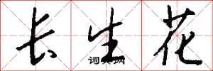 錢沛雲長生花行書怎么寫