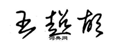 朱錫榮王超胡草書個性簽名怎么寫