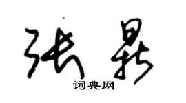 朱錫榮張鼎草書個性簽名怎么寫