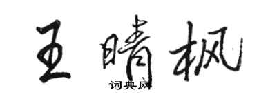駱恆光王晴楓行書個性簽名怎么寫