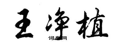 胡問遂王淨植行書個性簽名怎么寫