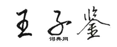 駱恆光王子鑒行書個性簽名怎么寫