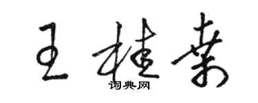 駱恆光王桂桑草書個性簽名怎么寫