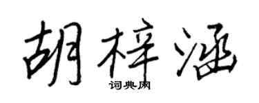 王正良胡梓涵行書個性簽名怎么寫