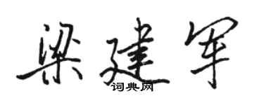 駱恆光梁建軍行書個性簽名怎么寫