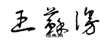 曾慶福王蘇漫草書個性簽名怎么寫