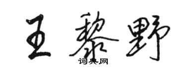 駱恆光王黎野行書個性簽名怎么寫