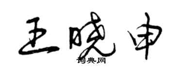 曾慶福王曉申草書個性簽名怎么寫