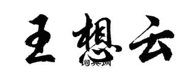 胡問遂王想雲行書個性簽名怎么寫