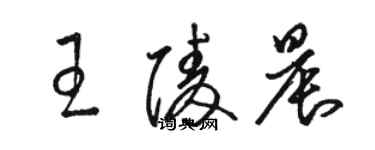 駱恆光王陵晨草書個性簽名怎么寫